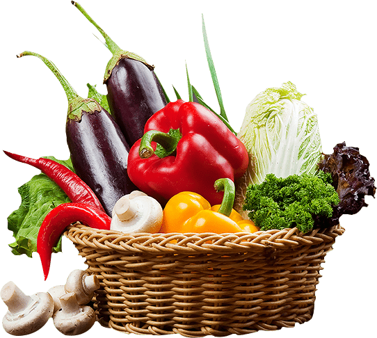vibrant and colorful basket filled with fresh organic vegetables grown by HVO.earth.