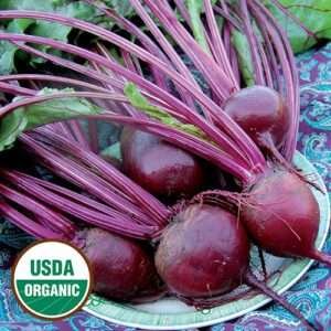 Home Beet Detroit Dark Red - Vibrant Organic Beets from Hawaii by hvo.earth